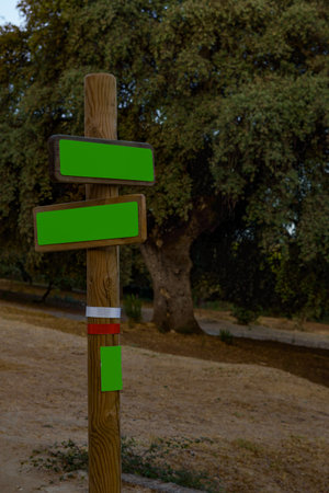 landscape of a forest with a green sign with copy space