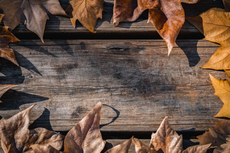 dried autumn leaves on a wooden table with space for text in the middleの写真素材