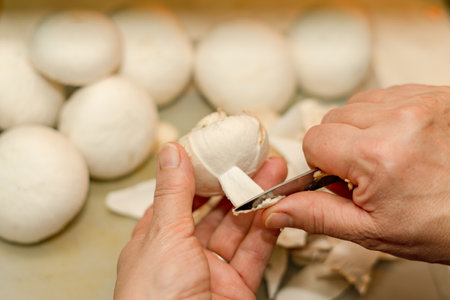 close-up of a woman peeling mushroomsの写真素材