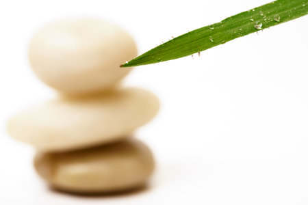 green leaf with dewdrops and stacked stones, zen image isolated on white backgroundの写真素材