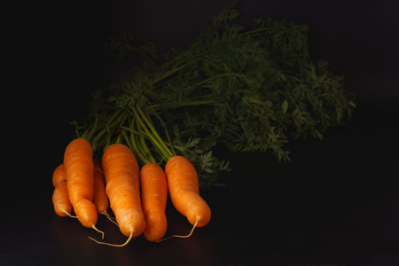 bunch of fresh organic carrots isolated on a white backgroundの写真素材