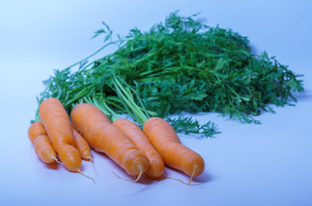 bunch of fresh organic carrots isolated on a blue backgroundの写真素材