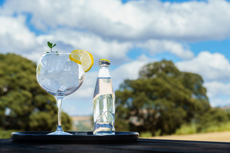 bottle of tonic with a glass with ice on a black tray and landscape with trees and clouds in the sky out of focus in the backgroundの写真素材