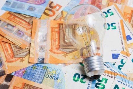 light bulb on a pile of euro banknotes, electricity price increase conceptの写真素材