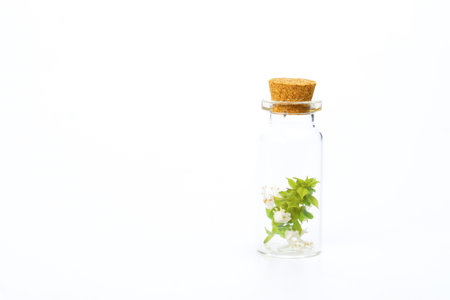 close-up of a glass jar with fresh basil branches isolated on white backgroundの写真素材