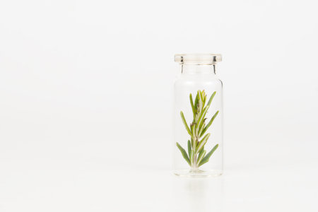 close-up of a glass jar with branches of fresh rosemary isolated on a white backgroundの写真素材