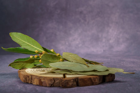 bay leaves, dry and fresh on a wooden diskの写真素材