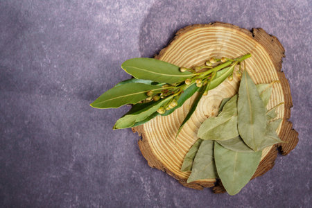 bay leaves, dry and fresh on a wooden diskの写真素材