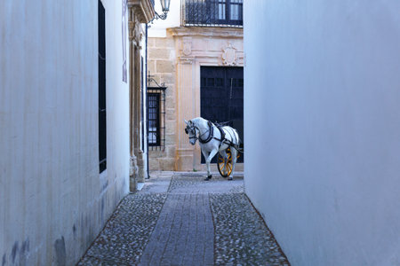 white horse pulling a horse-drawn carriage entering a narrow street in the center of townの写真素材