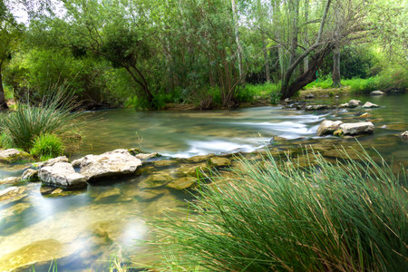 waterfall of a mountain river with lush vegetation silk effect long exposure photographyの写真素材