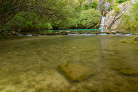 waterfall of a mountain river with lush vegetation silk effect long exposure photographyの写真素材