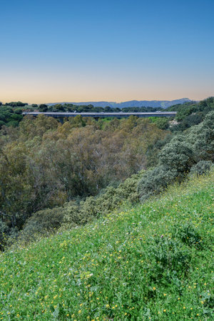 road over a lush forest with a green meadow in the foreground and a sunrise in the backgroundの写真素材
