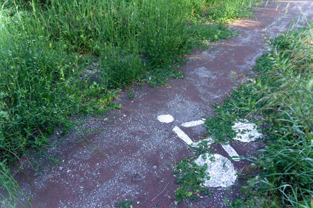 bike lane full of weeds and vegetation, the cyclist's sign on the ground has plants growing out of it, abandoned concept.の写真素材