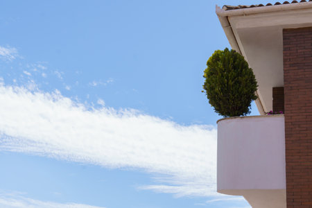 small cypress in a pot on the balcony of an apartment, with a cloudy blue sky in the backgroundの写真素材