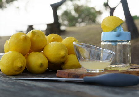 lemon squeezed with a hand juicer on a wooden table in the field with a pile of lemons and trees in...
