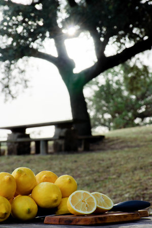lemon cut with a knife on a wooden board on a table in a park in the background a pile of lemons with the sun shining through the branches of the trees.の写真素材
