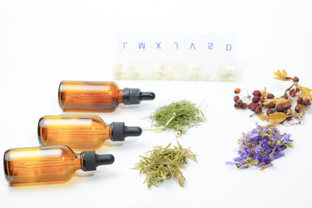 group of various medicinal plants next to a box of pills isolated on white background and copy...
