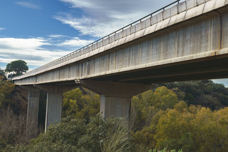 concrete viaduct over a forest with a blue sky with cloudsの写真素材