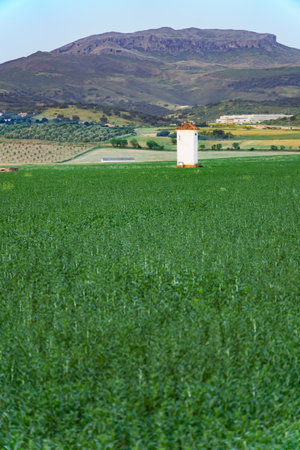 White dovecote standing in a green field of crops, with mountains and agricultural landscape in the backgroundの写真素材