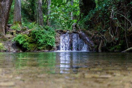 Crystal-clear water flows gently over moss-covered rocks, creating a tranquil scene in a peaceful forestの写真素材