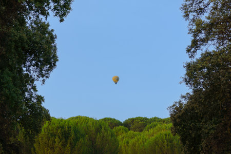 Yellow hot air balloon flying over a green forest under a clear blue skyの写真素材