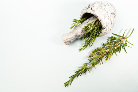 Fresh rosemary sprigs spilling from a mortar and pestle, creating a fragrant and inviting scene for...