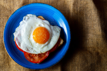 Fried egg sunny side up on toast and tomato slices on a blue plate, top view