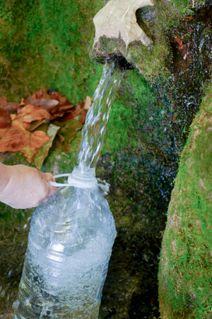 Hand filling a reusable plastic bottle with clear, fresh water flowing from a natural moss-covered...