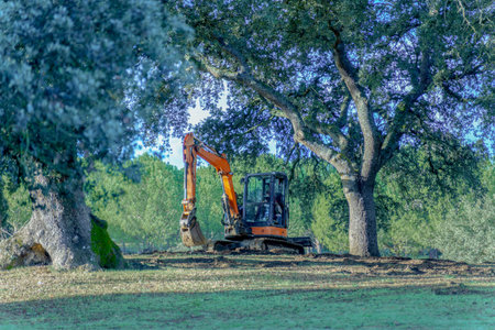 Orange excavator performing ground clearing activities under the shade of large trees, blending industrial work with nature in Ronda, Malaga, Spainの写真素材