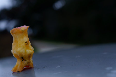 Ants gathering on a decaying apple core, highlighting food waste and the natural process of decompositionの写真素材