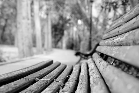 Black and white scene highly focused from Andalusian Parkの写真素材