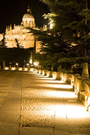 Nocturne view of the Salamanca cathedral.の写真素材