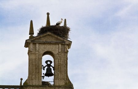 White stork alone in its nest, in the top of a belfy.の写真素材