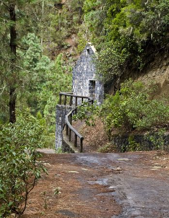 Stone house hidden in the middle of the forestの写真素材