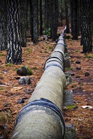 Hidden pipeline in the forest around Teide volcano.の写真素材