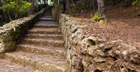 Steps over the Teide forest in Tenerife Island, Spain.の写真素材