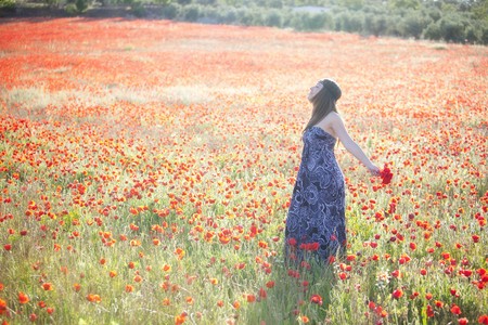 Freedom at poppies field under the sunlightの写真素材