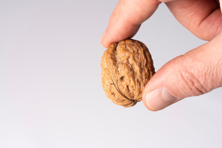Walnut caught with the fingers of one hand on white background