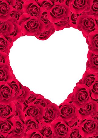 Roses in a  illustration  の写真素材