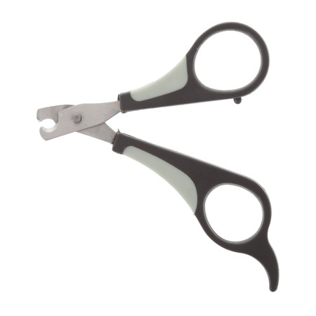 Nail clipper for cats or small dogs isolated on white backgroundの写真素材