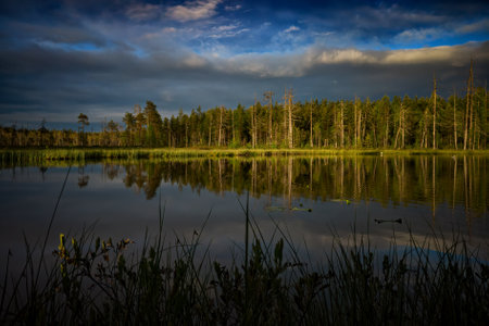 Romance in Finland at sunsetの写真素材