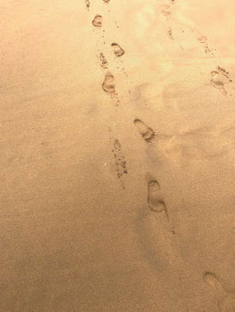 Footsteps in the wet sandの写真素材