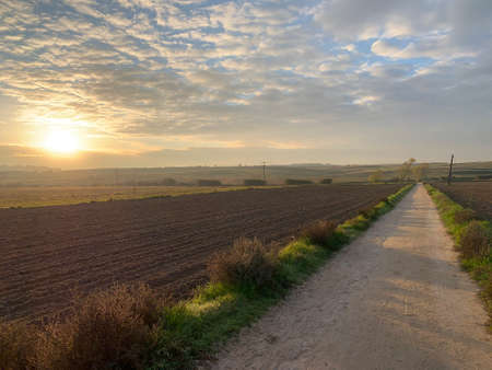 Sky dotted with clouds at dawnの写真素材