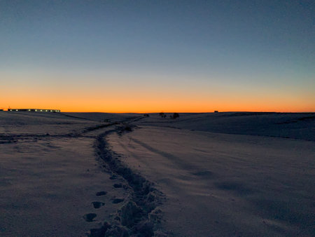 Line of footsteps in the snow at sunsetの写真素材