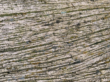 Wooden bottom with large slits and various shadesの写真素材