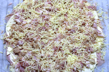 Homemade bacon pizza before bakingの写真素材