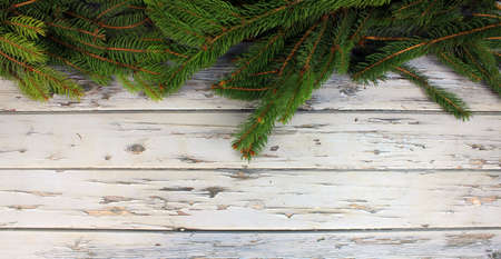 Fir branches on an old wooden backgroundの写真素材