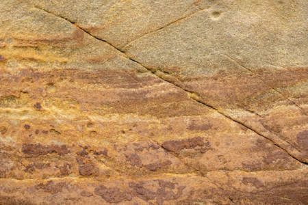 Close-up of the surface of marine rocks at low tide