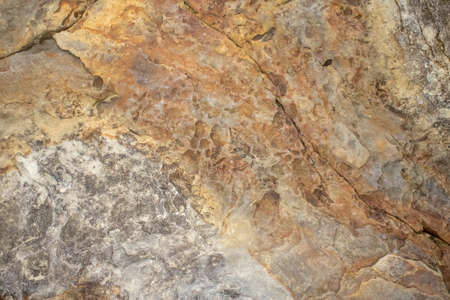 Close-up of the surface of marine rocks at low tideの写真素材
