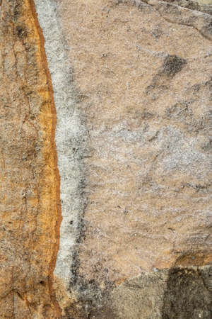 Close-up of the surface of marine rocks at low tide